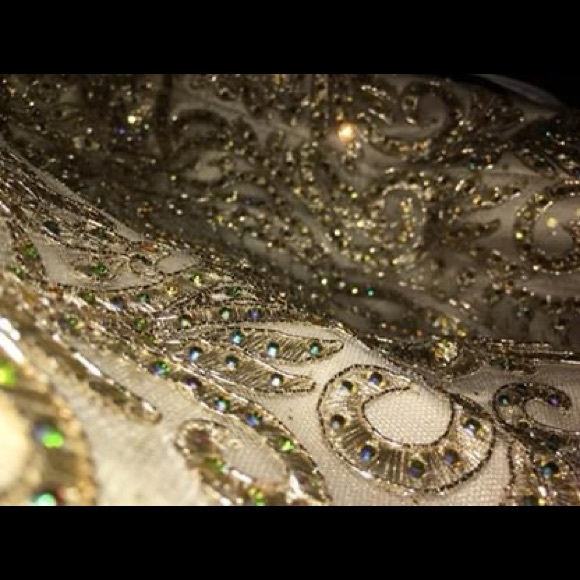 Quincenera Dress - Picture 5 of 8